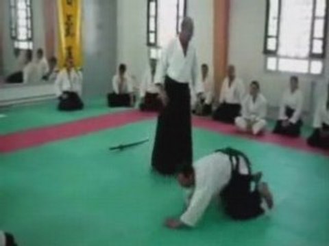STAGE aikido avec Nebi vural sensei en tunisie PUB