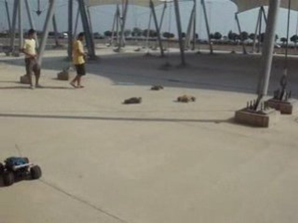 30.08.2008 Pendik Buluşması 04
