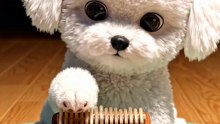 Fluffy Puppy's Marshmallow Loaf Freeze & Kalimba Chime ASMR! 🎹🐶
