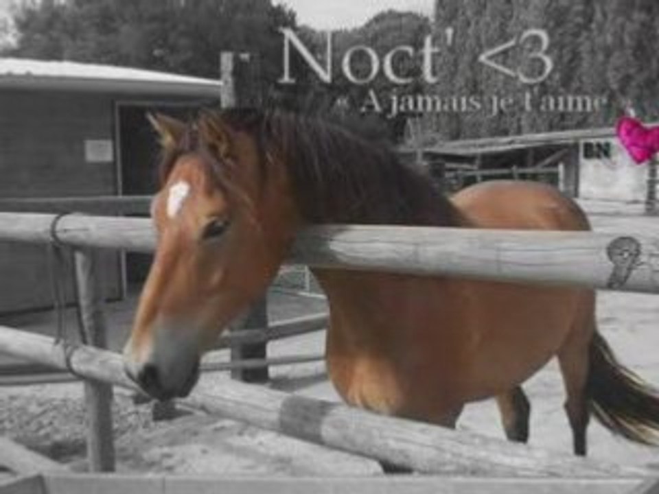 Nocturne <3 {I MISS YOU