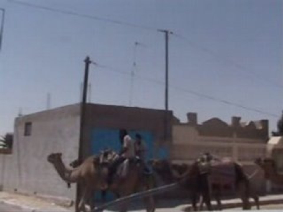 Douz Juli 2008 (Teil 6)