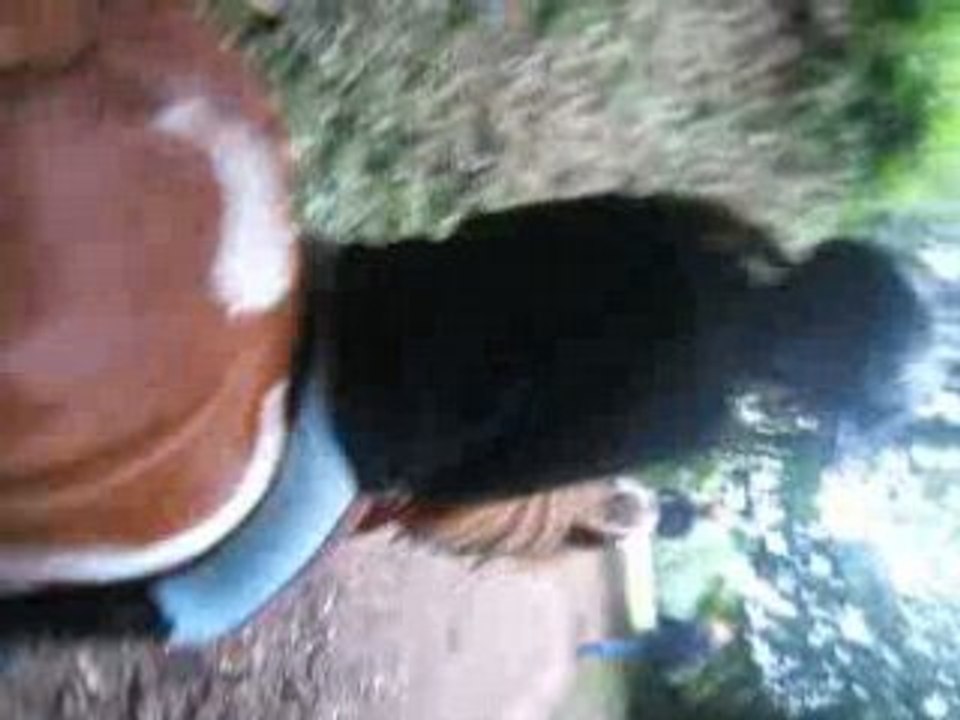 Moi sur Popeye :D