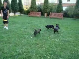 Clark Oxmo Daimond 2