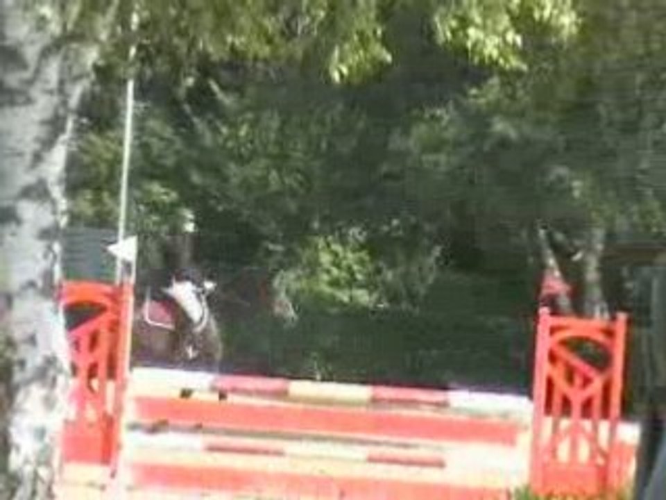 Concour rozier 06-07-08 am2 spéciale 1m10