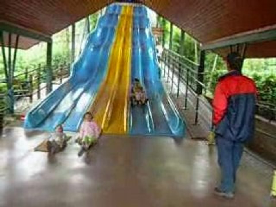DSCN4216