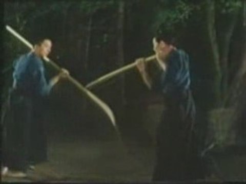 Tenshin Shoden Katori Shinto Ryu - les katas