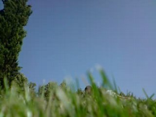 ma doublette et moi 2