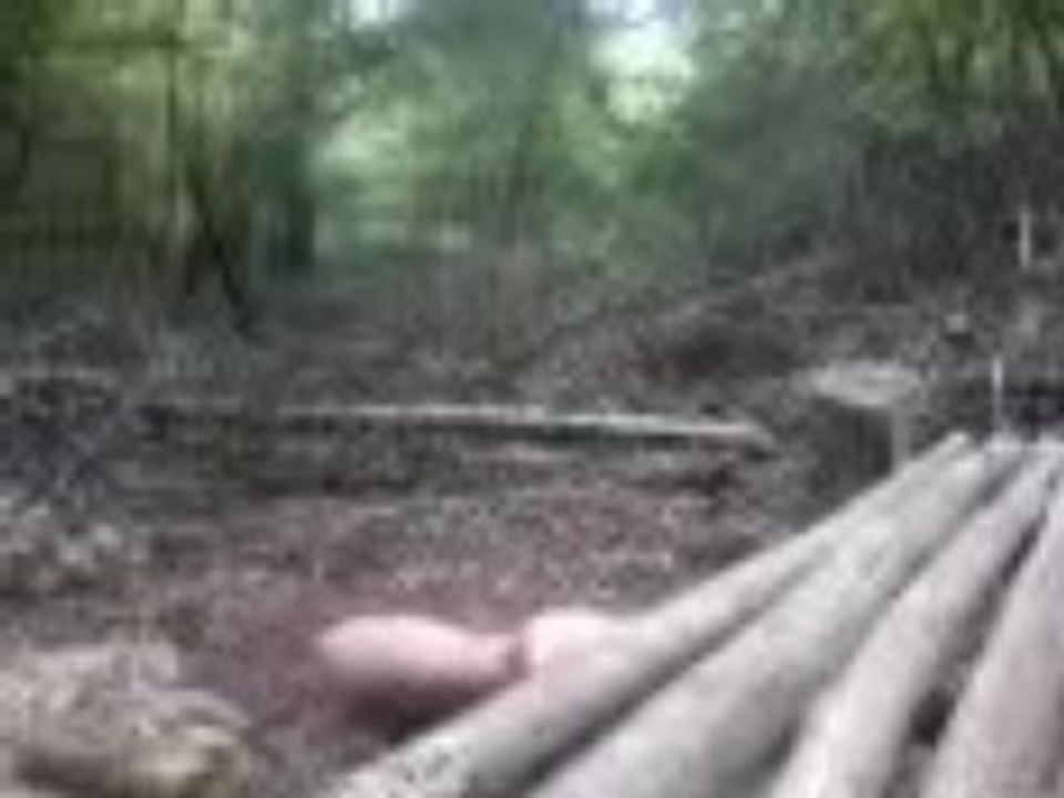 SV_A0058