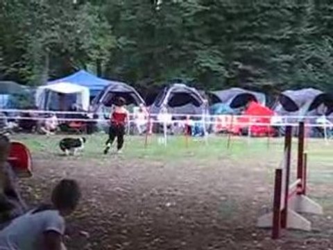 Parcours agility 31 aout 053