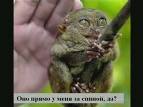 Если кажется, что все плохо