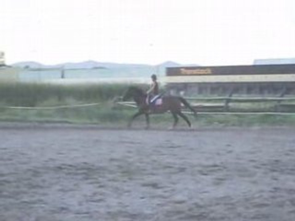 HEYHEY 123