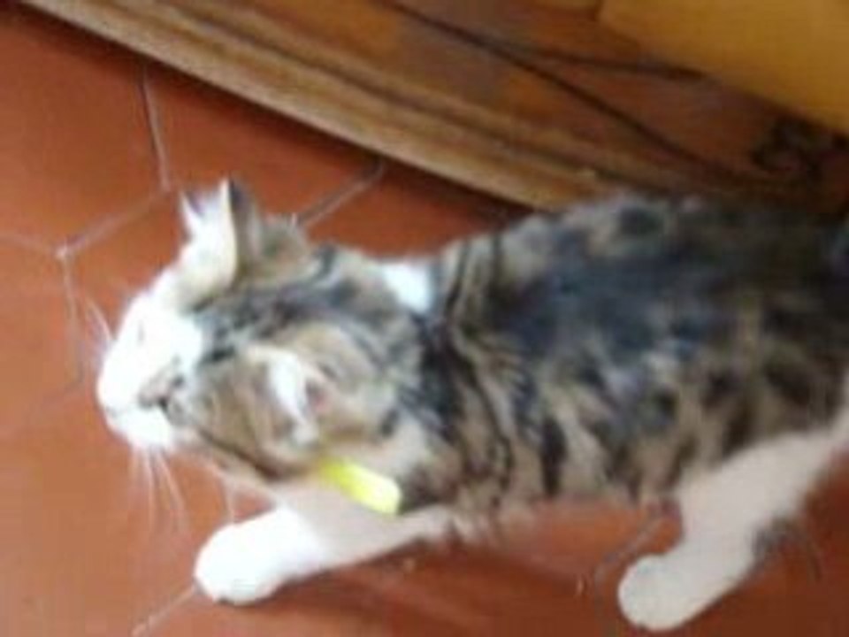 25 Août 2008 008