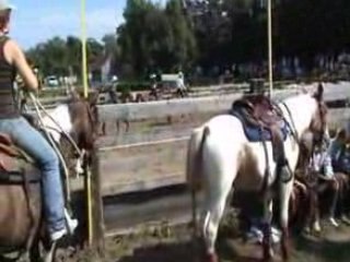 Western équitation à Reinigue