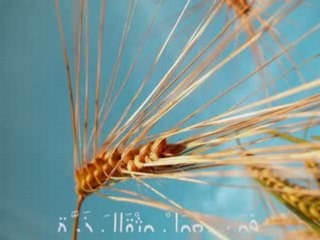 A Ecouter ! Cheikh Fares 'Abaad فارس عباد