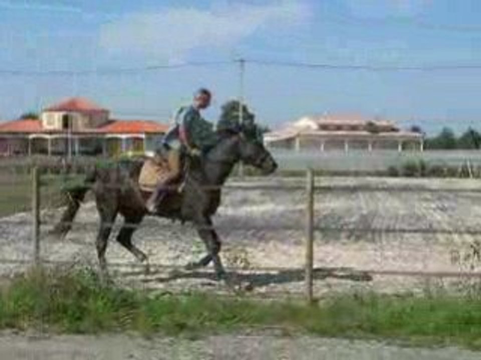 DSCN0687