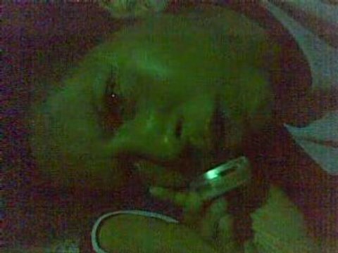 Blédar a Hammam Bou Hadjar