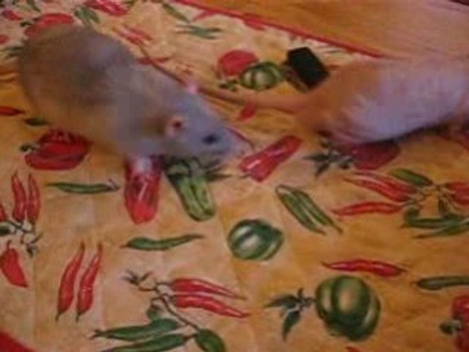 Édward et Simon