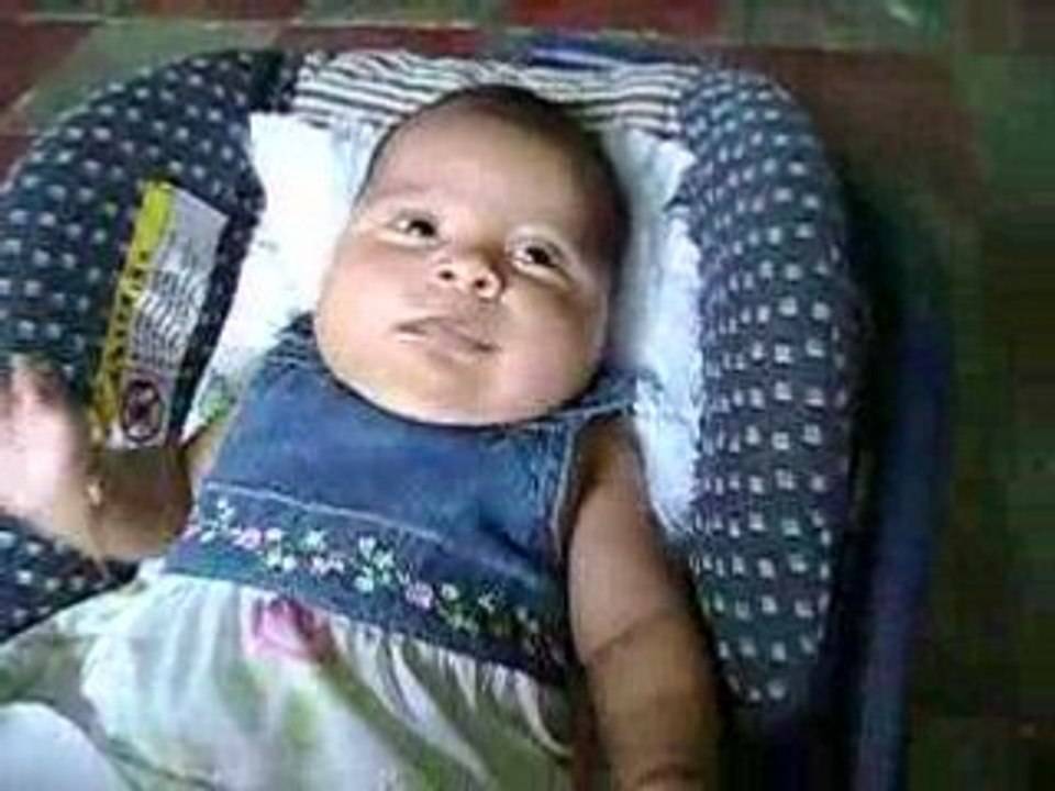 Pollito_01