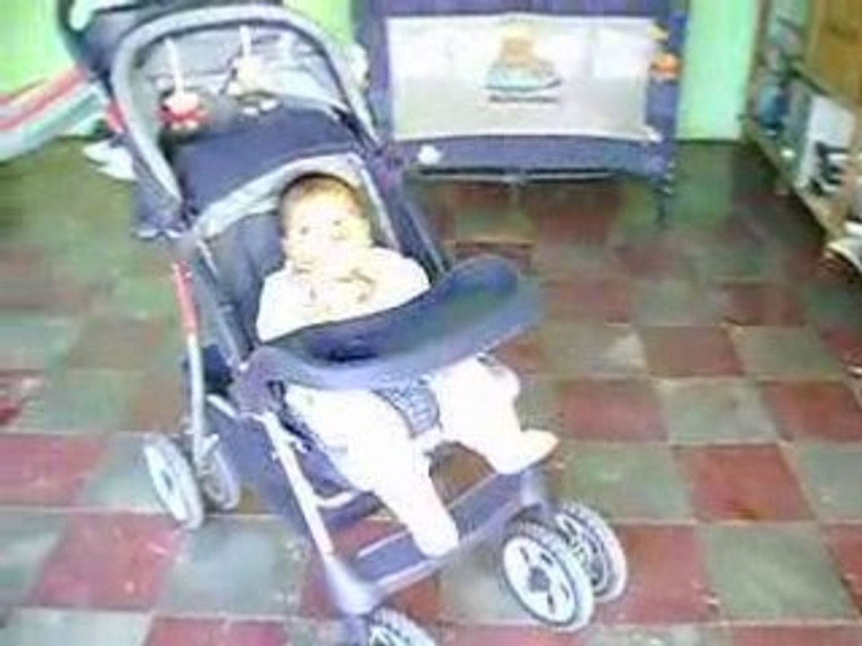 Pollito_en_coche
