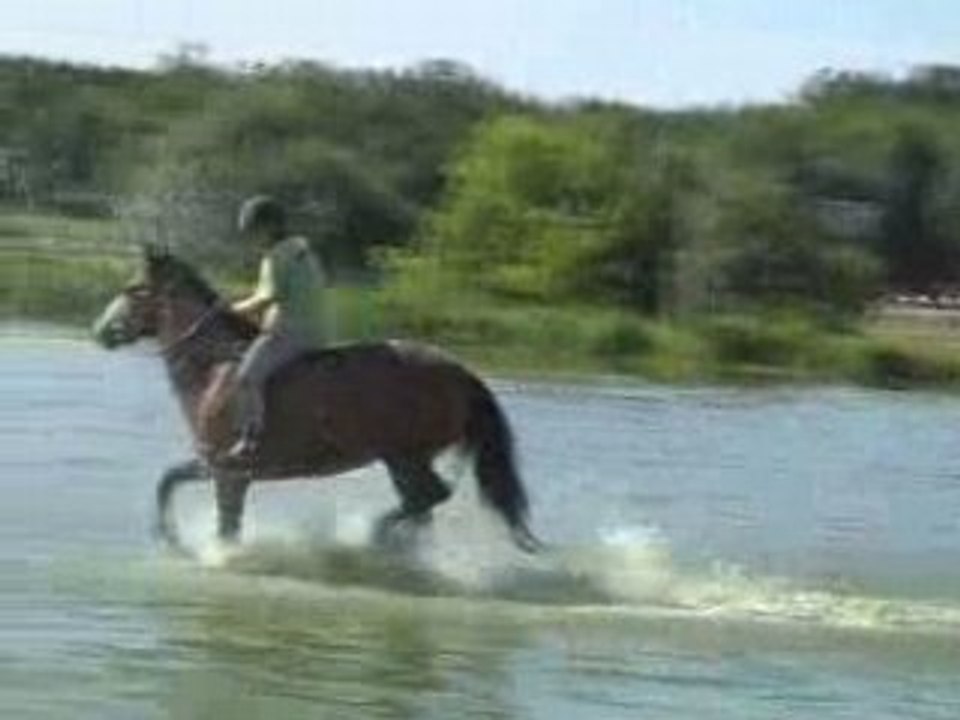 Moi et Macha au galop dans le lac de Lamotte-Beuvron