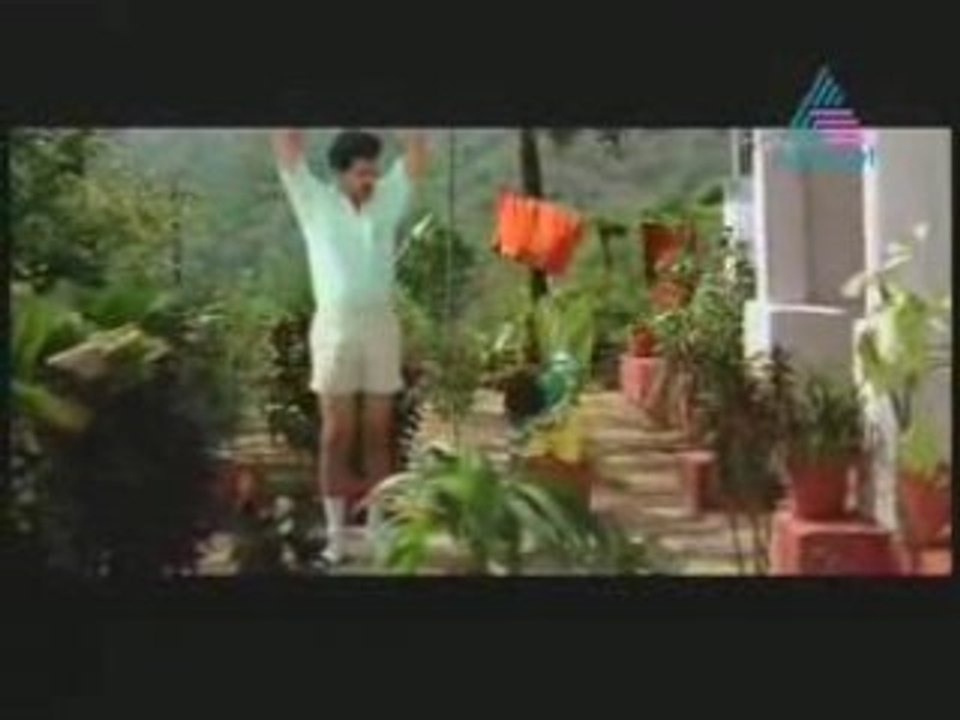 www.veeduonline.com Pingami P04