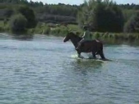 Moi et Macha au pas à cru dans le lac de Lamotte-Beuvron