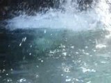 Canyoning ossoué s