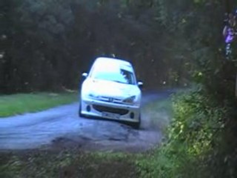 rallye coeur de france 2008 depeyre michel 206 s16
