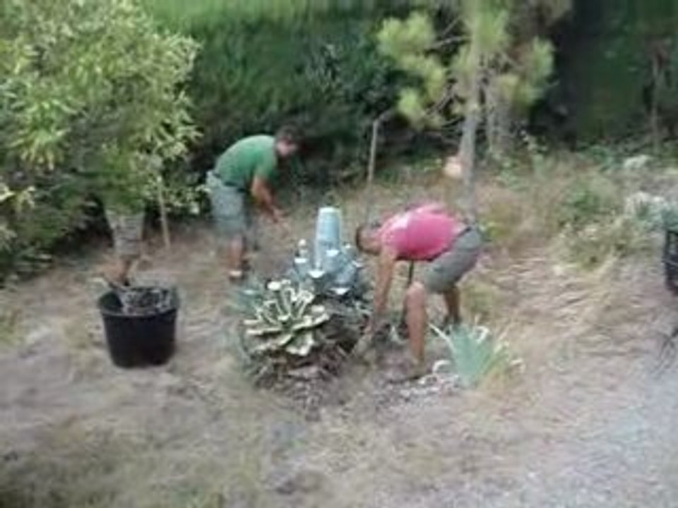 jardin 6