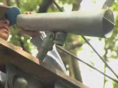 Forêt d'altitude à Rambouillet avec l'Odyssée verte