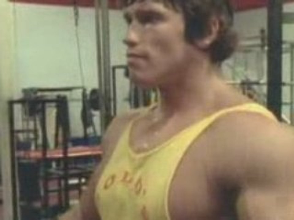 Schwarzenegger I'Il be back part1