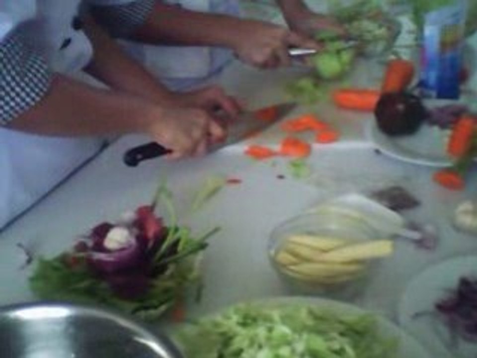 Vid0004