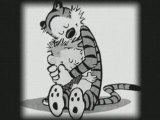 L'album photo de Calvin et Hobbes