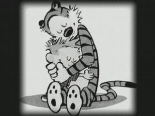 L'album photo de Calvin et Hobbes