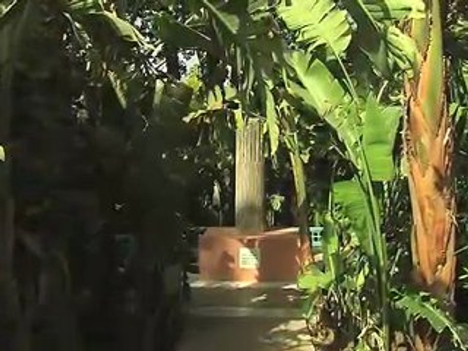 Marrakech Tv : Jardin Majorelle