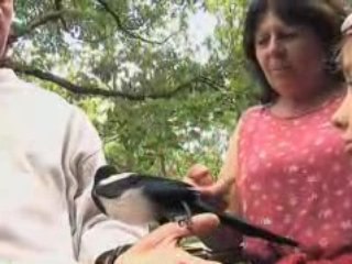 L'homme qui parlait aux oiseaux - ONF