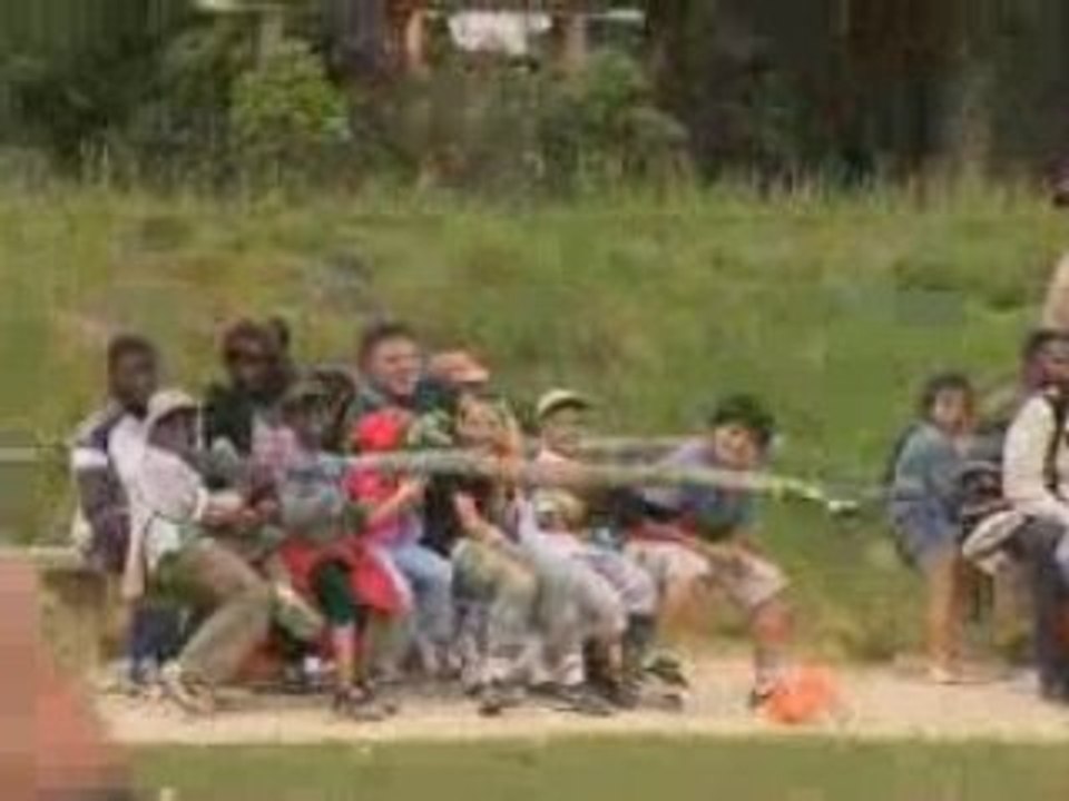 Vols de rapaces à l'Espace Rambouillet - ONF