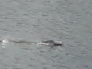 Micro h abs plesse sept 08