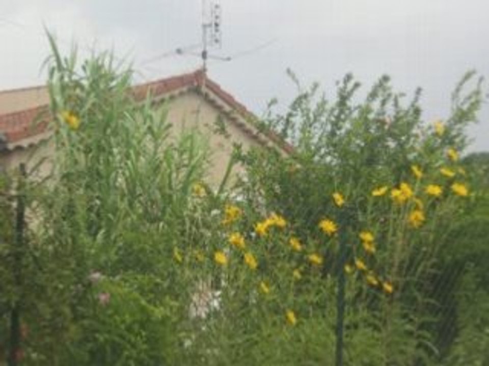 Visite de ma ville (crest drôme)