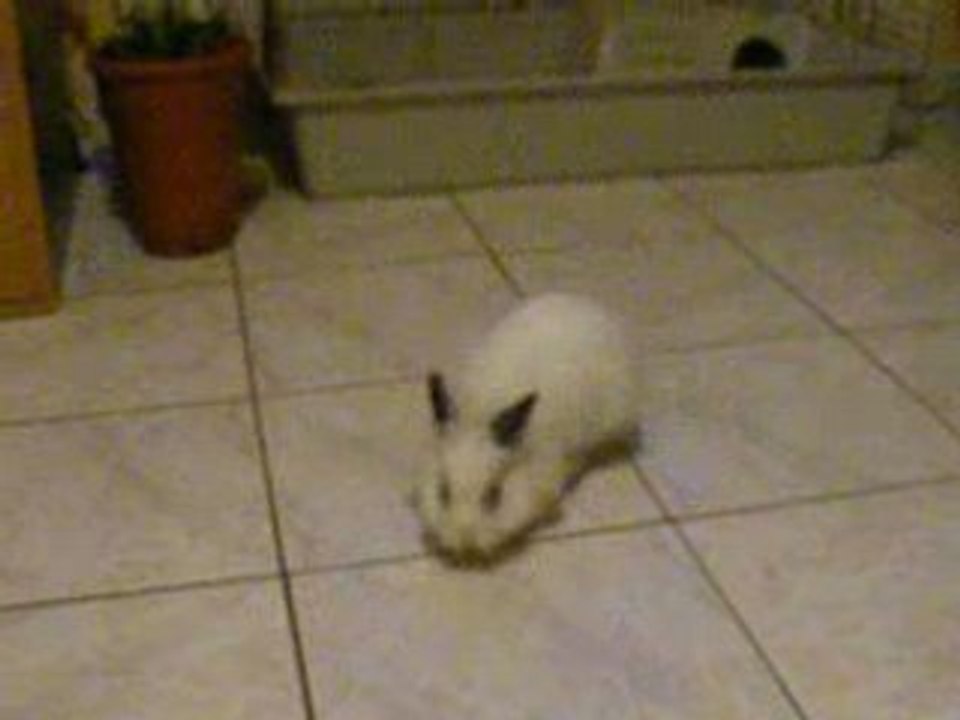 2008_0909michèlepinpin0006