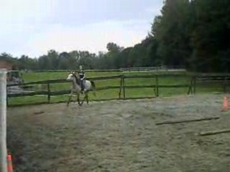 CLIP0001