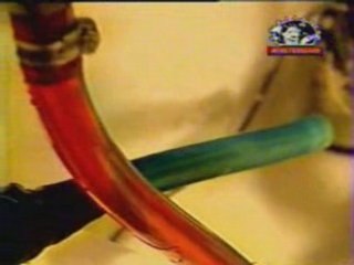 Cannabis en interieur 2 3.,cultiver, herbe,