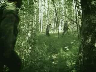 S.T.A.L.K.E.R. Тяжёлая Земля