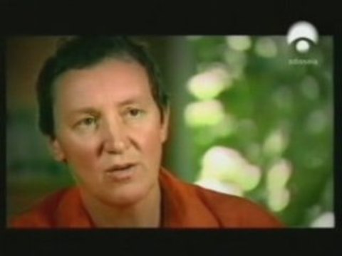 RDA: Esteroides olimpicos (Efectos a largo plazo)