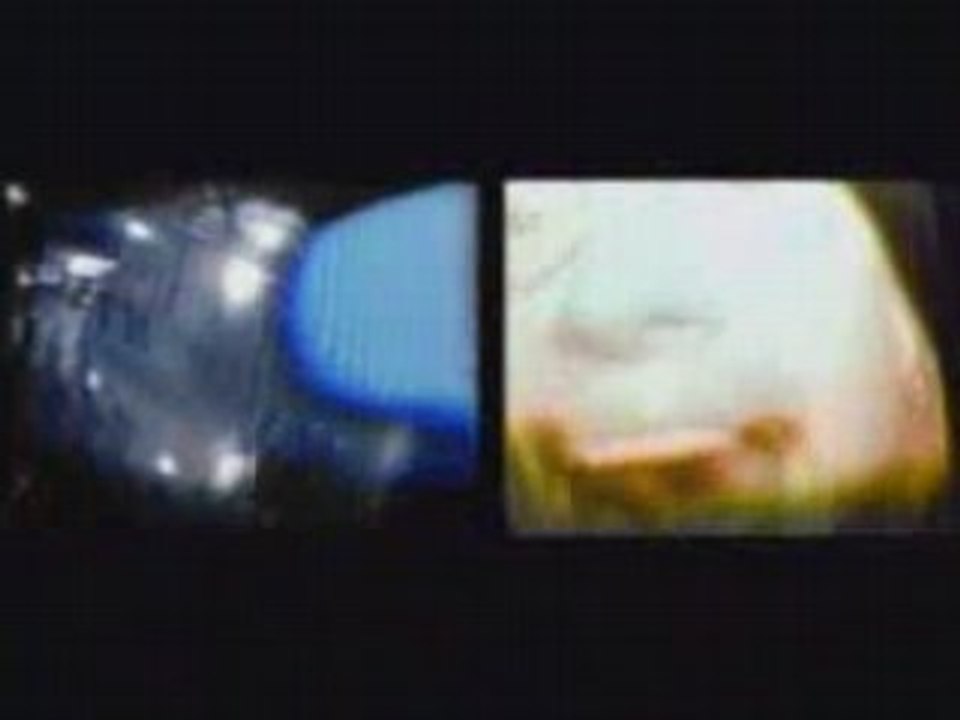 The Hobos - Walk All Night