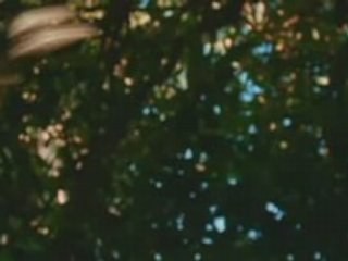 Dead and Breakfast (2004)