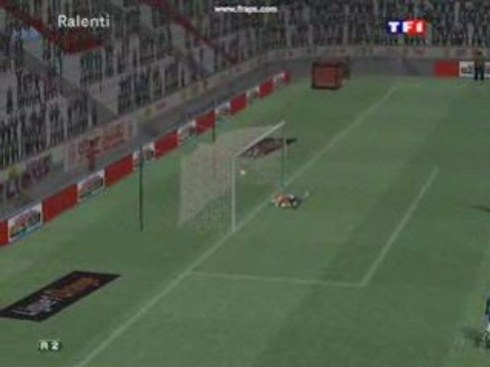 Petit lob