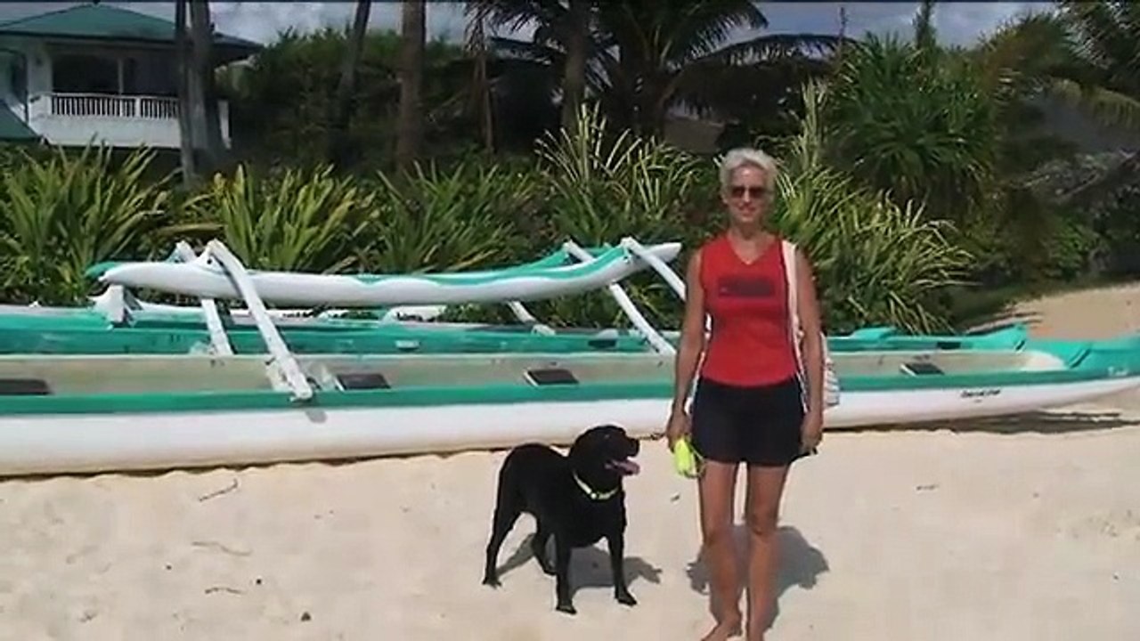 Beach Walk 675 - When I Grow Up