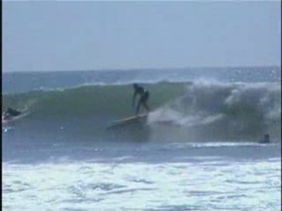 Longboard - Les conches