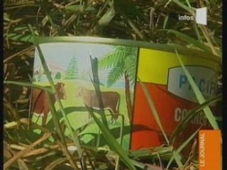 Les vaches de Lano RFO Wallis